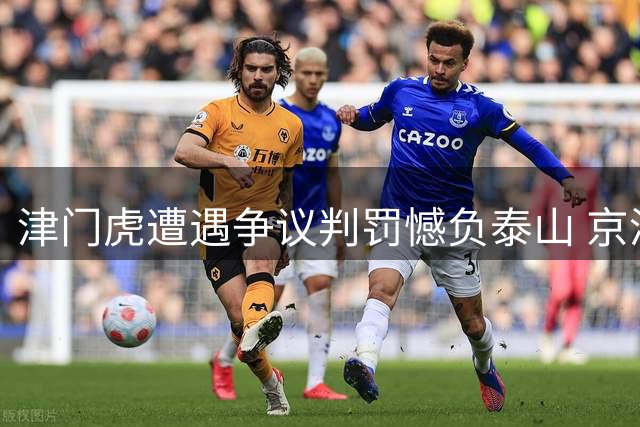 津门虎遭遇争议判罚憾负泰山 京津德比球票遭秒杀