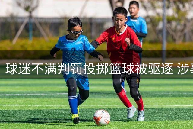 球迷不满判罚投掷篮球被驱逐 涉事少年正接受调查