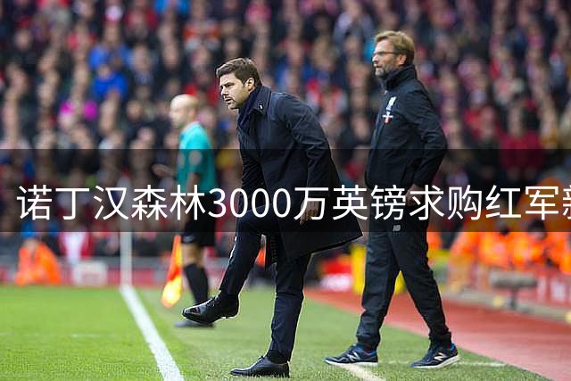 诺丁汉森林3000万英镑求购红军新星遭拒